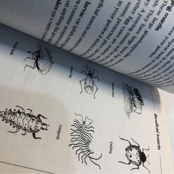 Gardening Magazines and Perennial Gardening Coles Notes - Picture 12 of 16